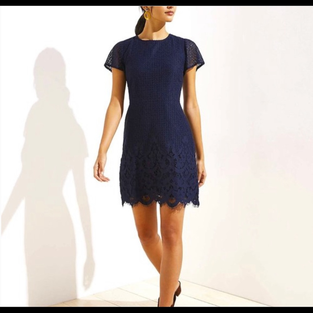 LOFT | Petite navy lace dress